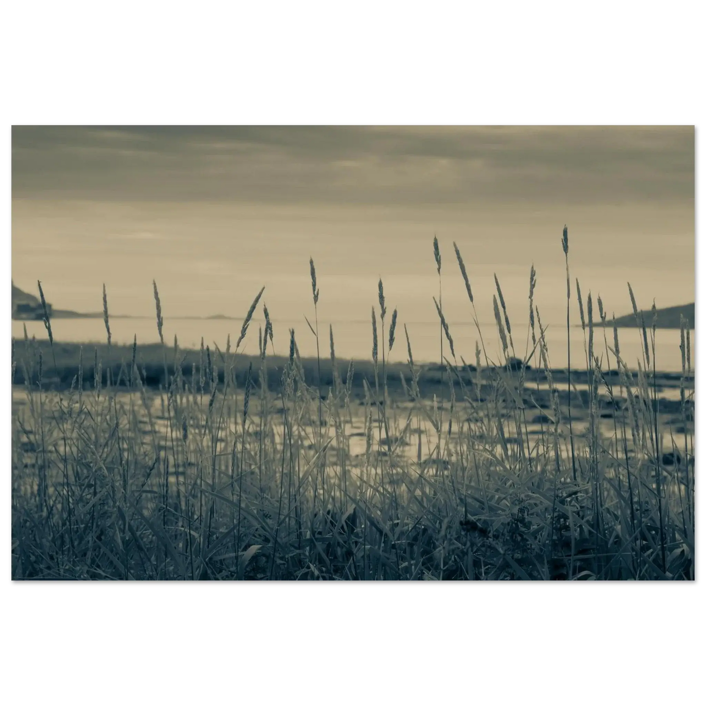 371dcf43-c62e-4a6b-a725-2bb6d7e1c230