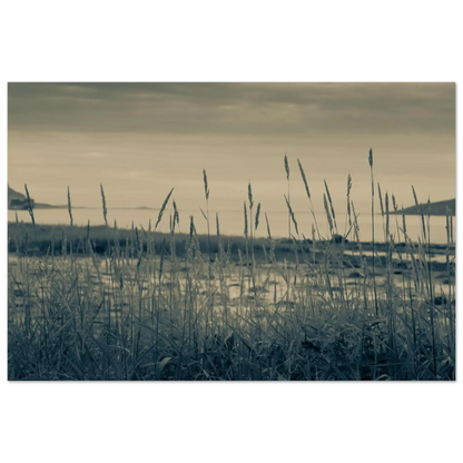 371dcf43-c62e-4a6b-a725-2bb6d7e1c230