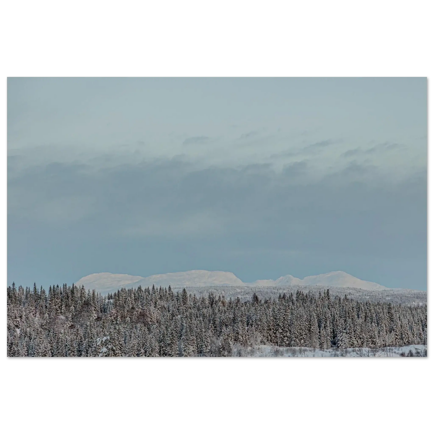 38def043-6616-4bc1-a290-e768e484918f