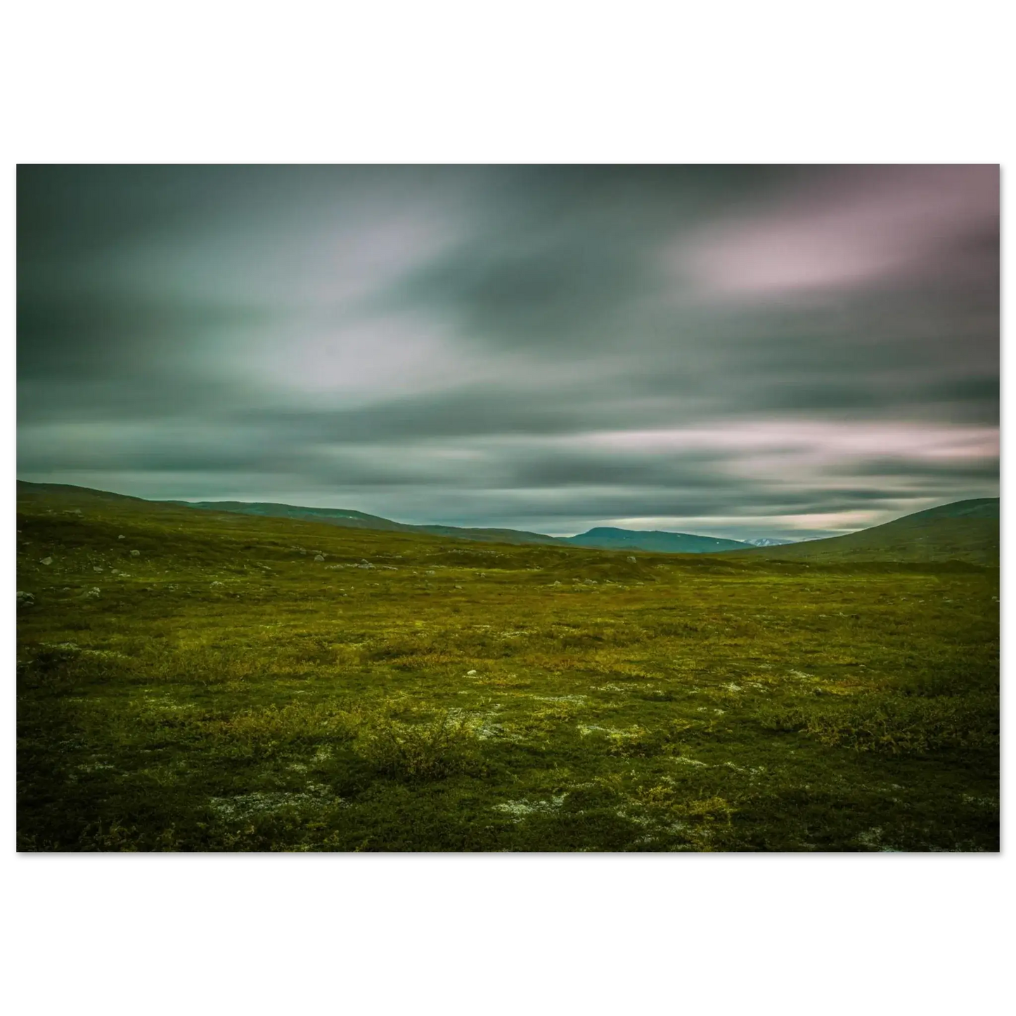 3a5191cb-4c52-4f75-aa64-87d84be9402e