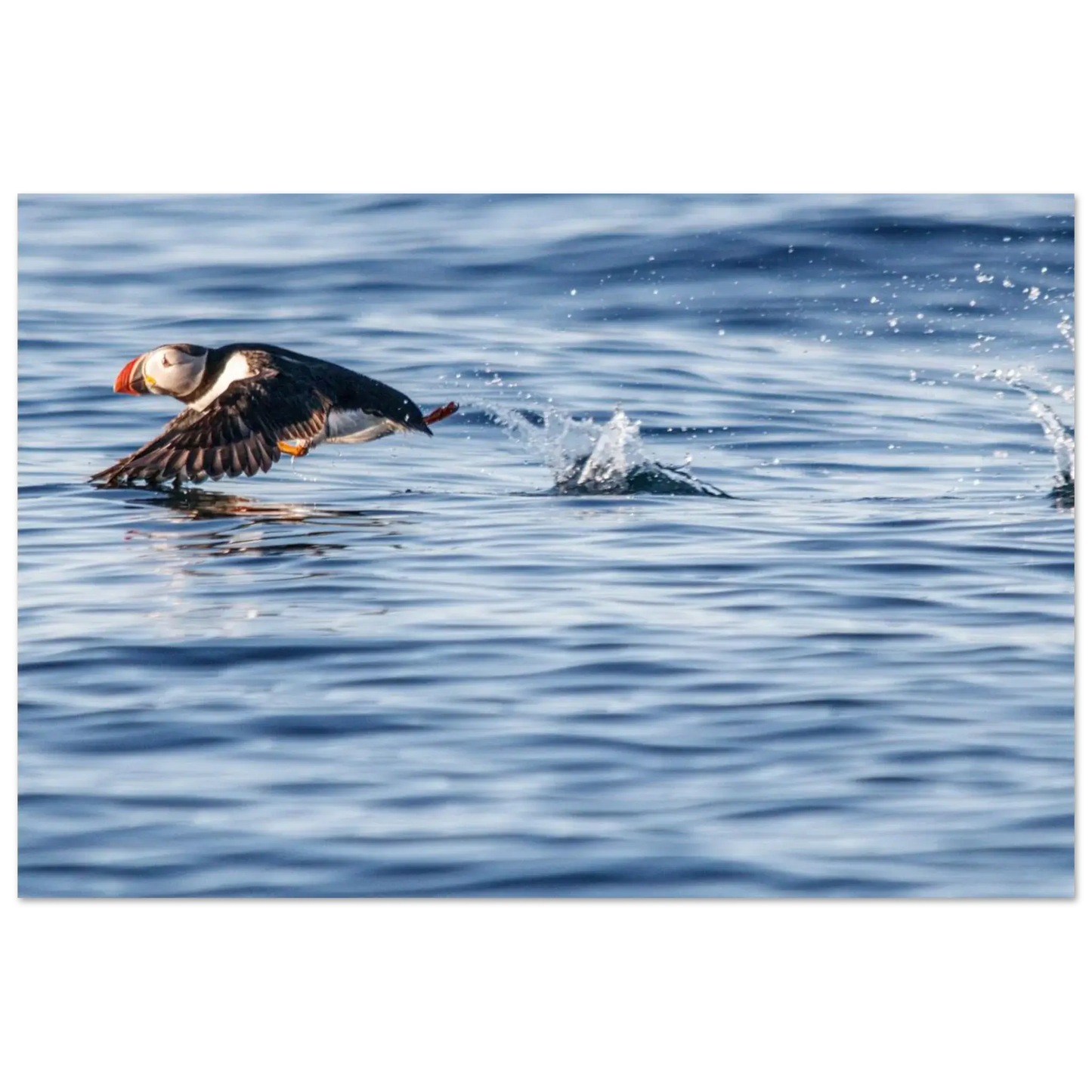 3a664243-9e3a-40c2-a834-50ecf96ccf85