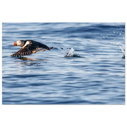 3a664243-9e3a-40c2-a834-50ecf96ccf85