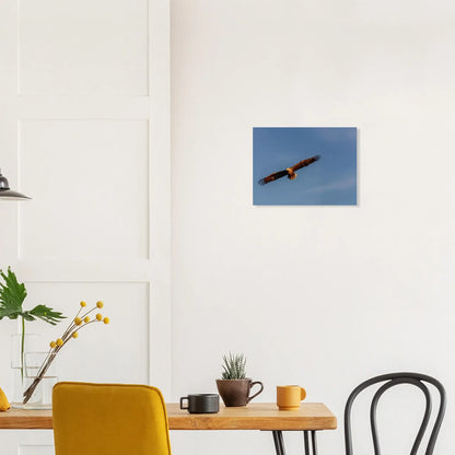 3b59749e-9d15-4e1e-b11c-04b9de4a5b75