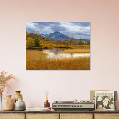 3b995e04-dcb0-49e6-8e20-5053ff4521cf