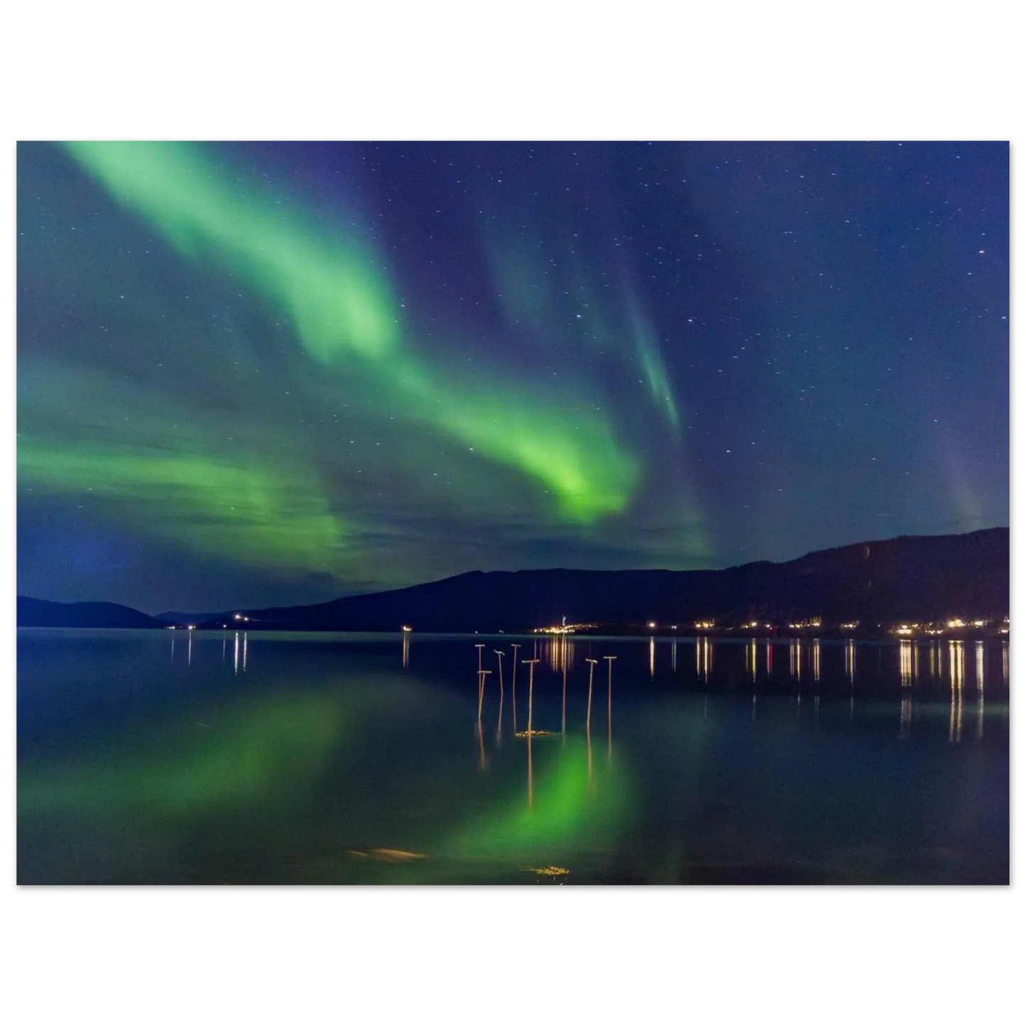 3d92aee5-1660-4d33-8453-db7eae5cad83