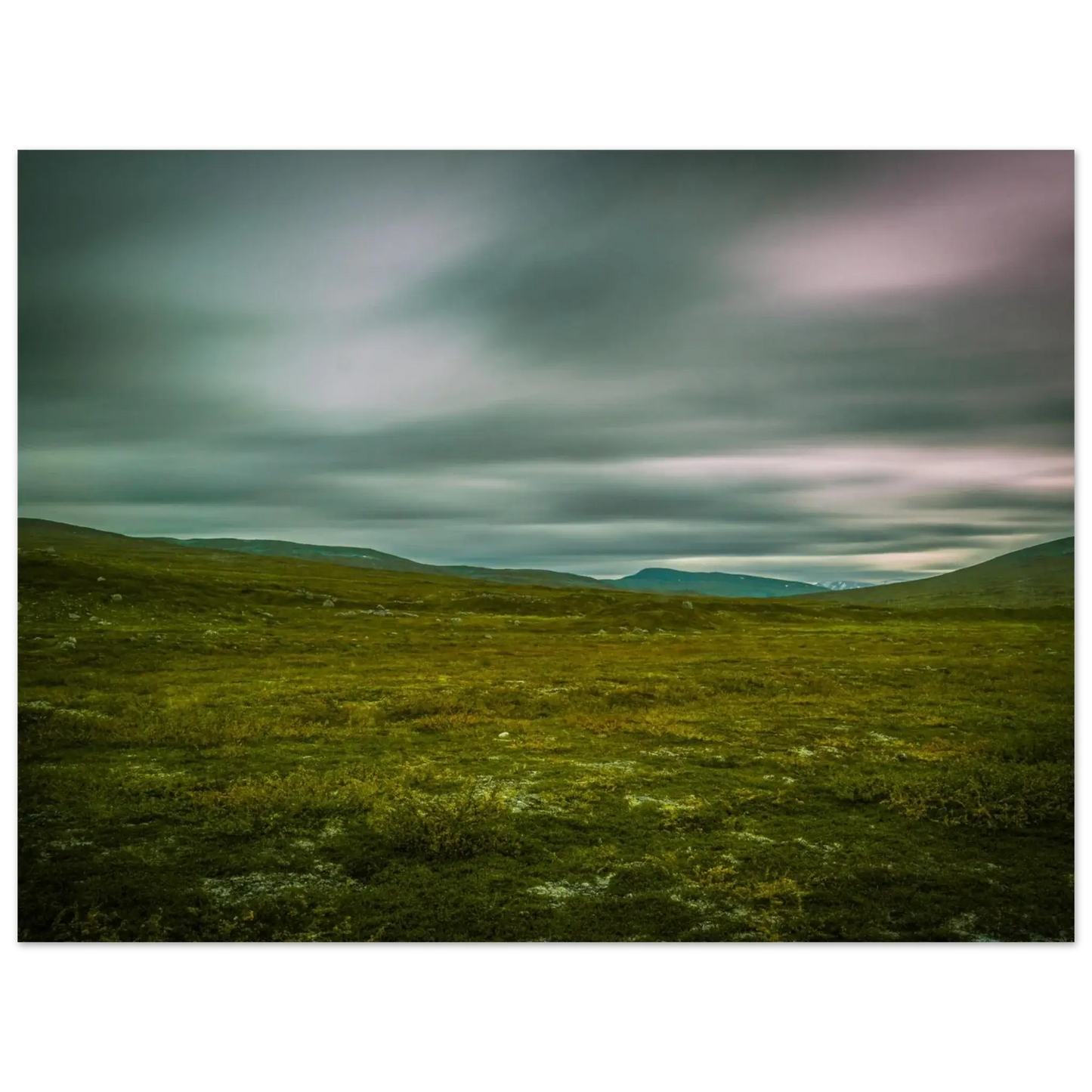 44285409-e32d-4332-a789-791593ad07f8