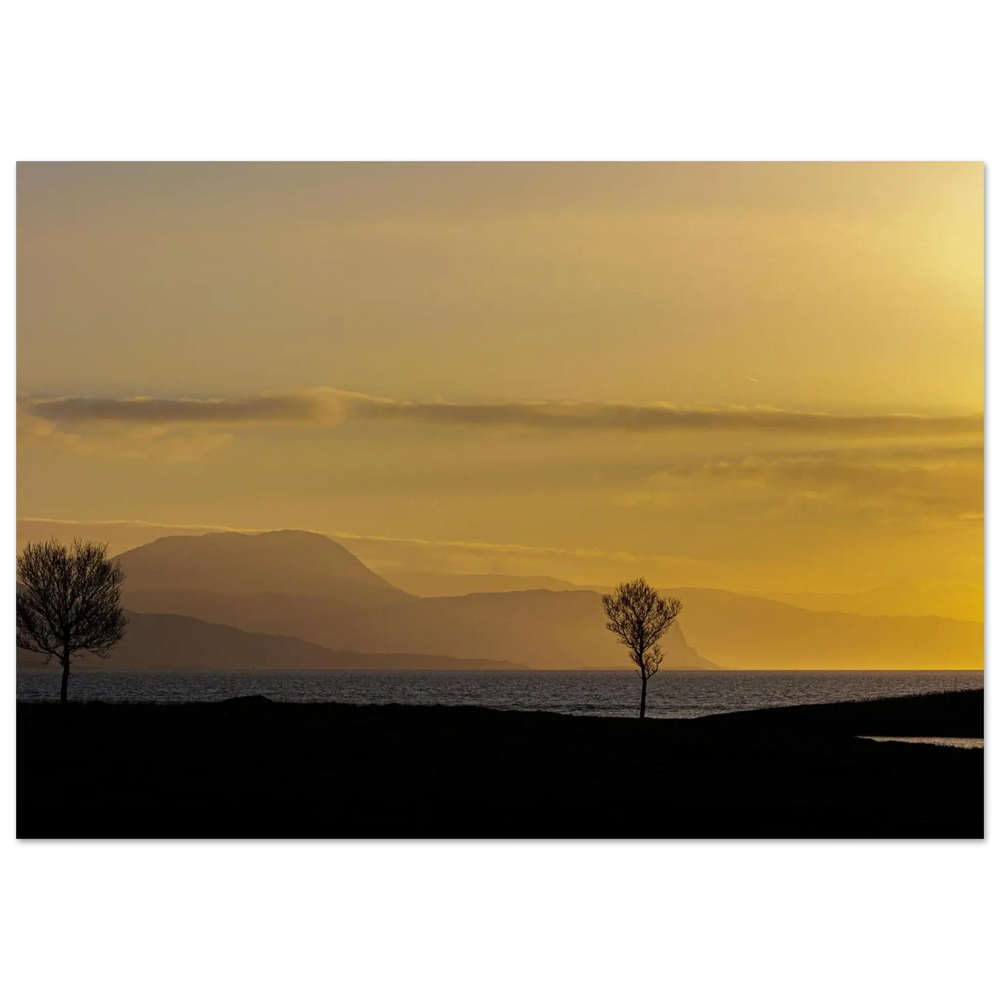 46a9571d-c572-4877-93ff-0c706bea0328