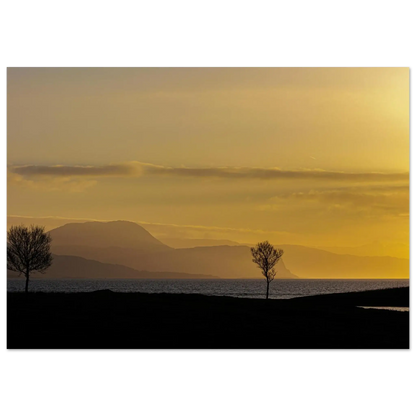 46a9571d-c572-4877-93ff-0c706bea0328