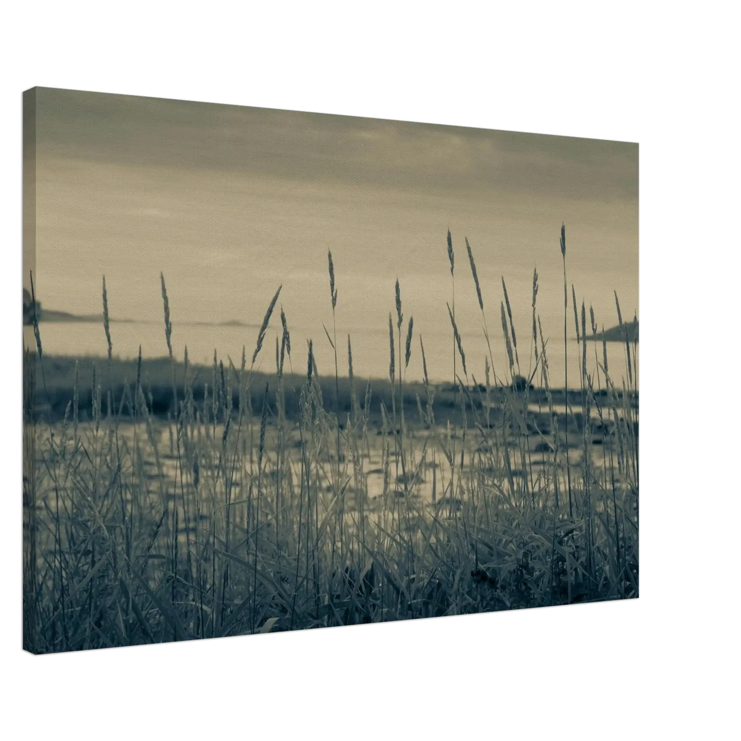 4b67ced8-8da0-4839-97d9-e90af3091531