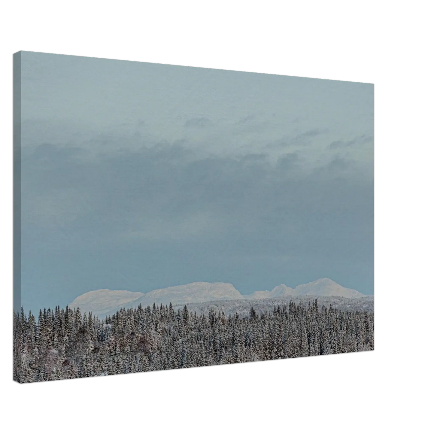 4e0a896f-67d6-43a3-aa87-405555da0a0d