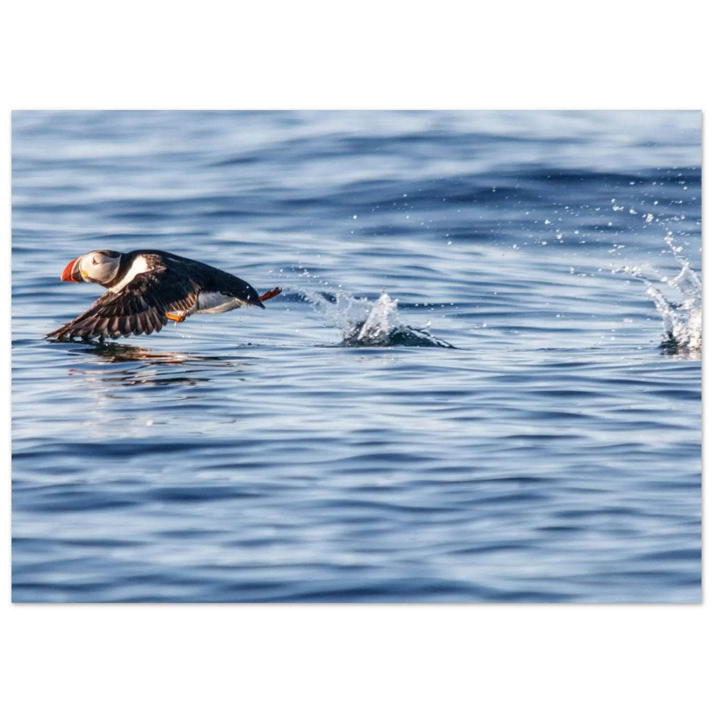 4f731e8b-756a-4a50-8e27-738845399c52