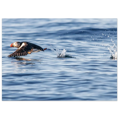 4f731e8b-756a-4a50-8e27-738845399c52