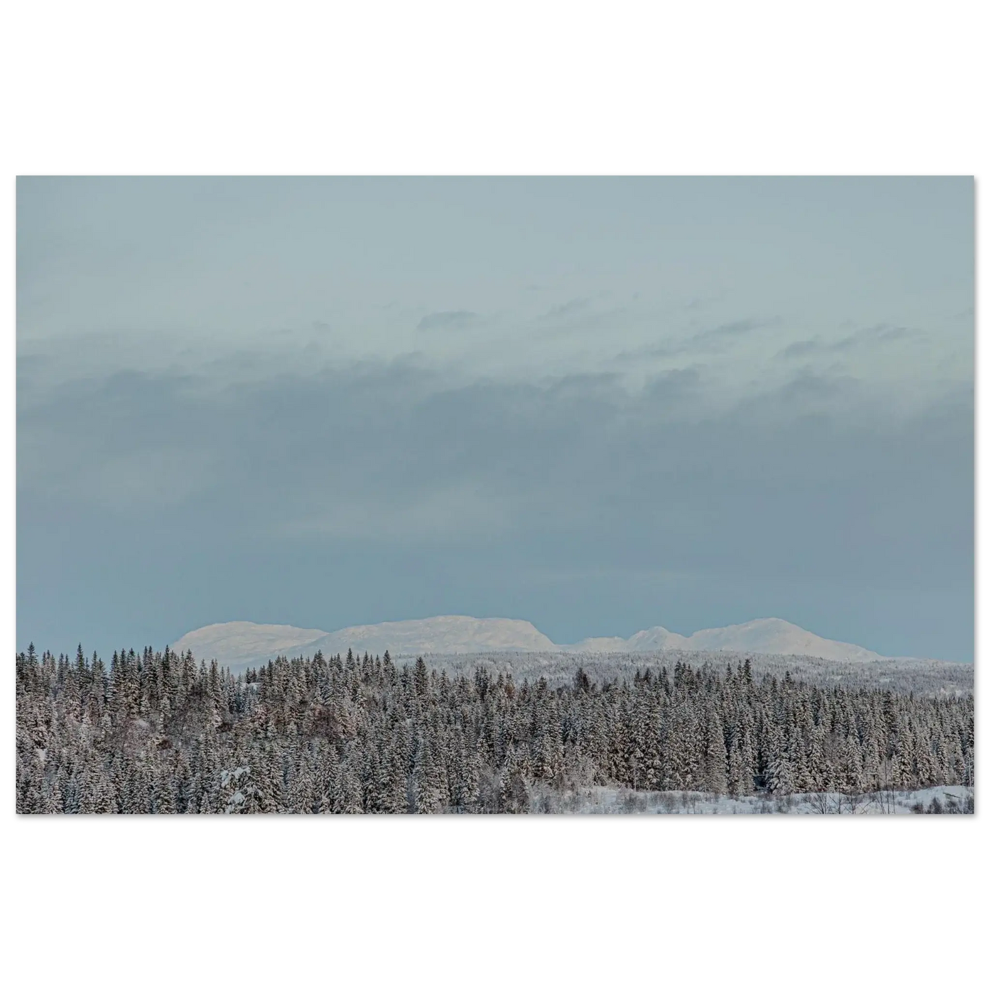 5283946b-4ccd-45a5-9ccf-3dc43f856f4a