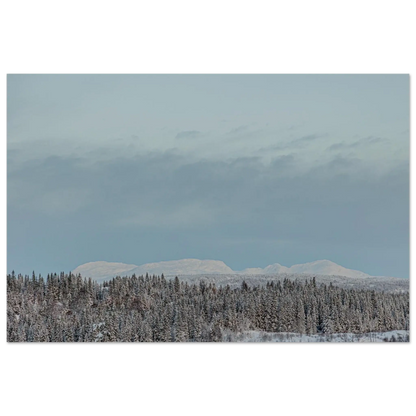 5283946b-4ccd-45a5-9ccf-3dc43f856f4a