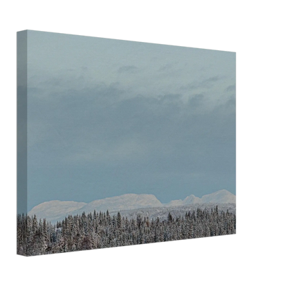 58639e6f-9aff-4b55-b56c-83d6121ad078