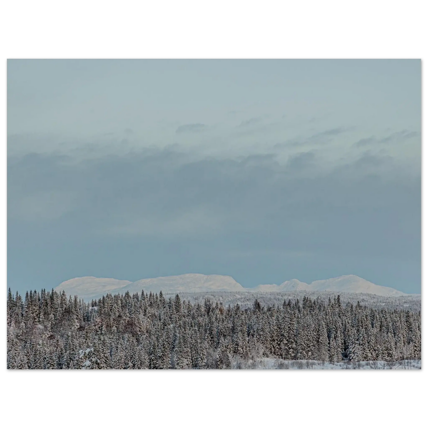 5d7c1ef3-4969-440b-9d3a-59ccfc60cc11