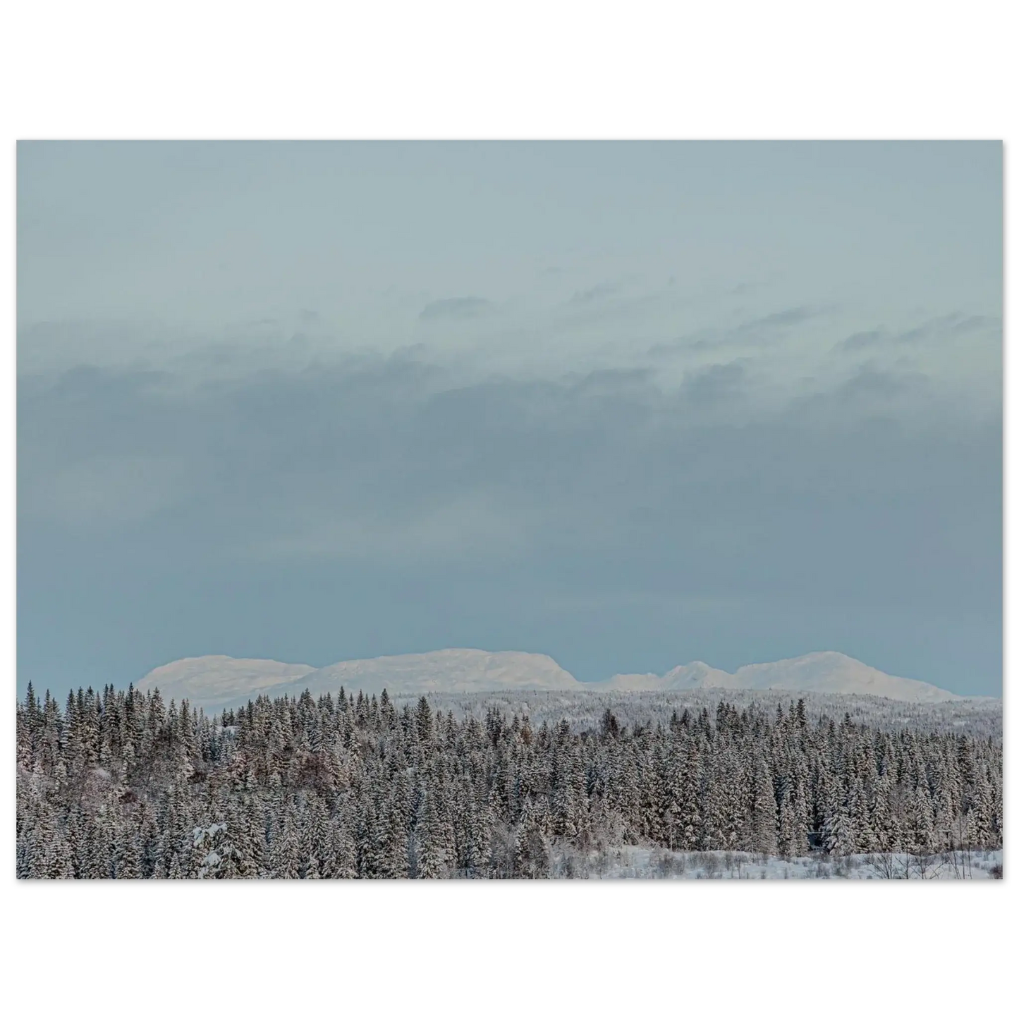 5ec91e8c-b933-4f74-87d8-2aade78894cd