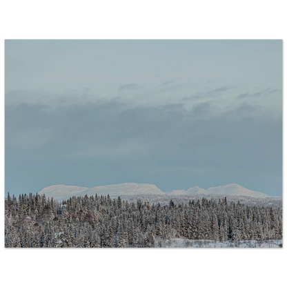 5ec91e8c-b933-4f74-87d8-2aade78894cd