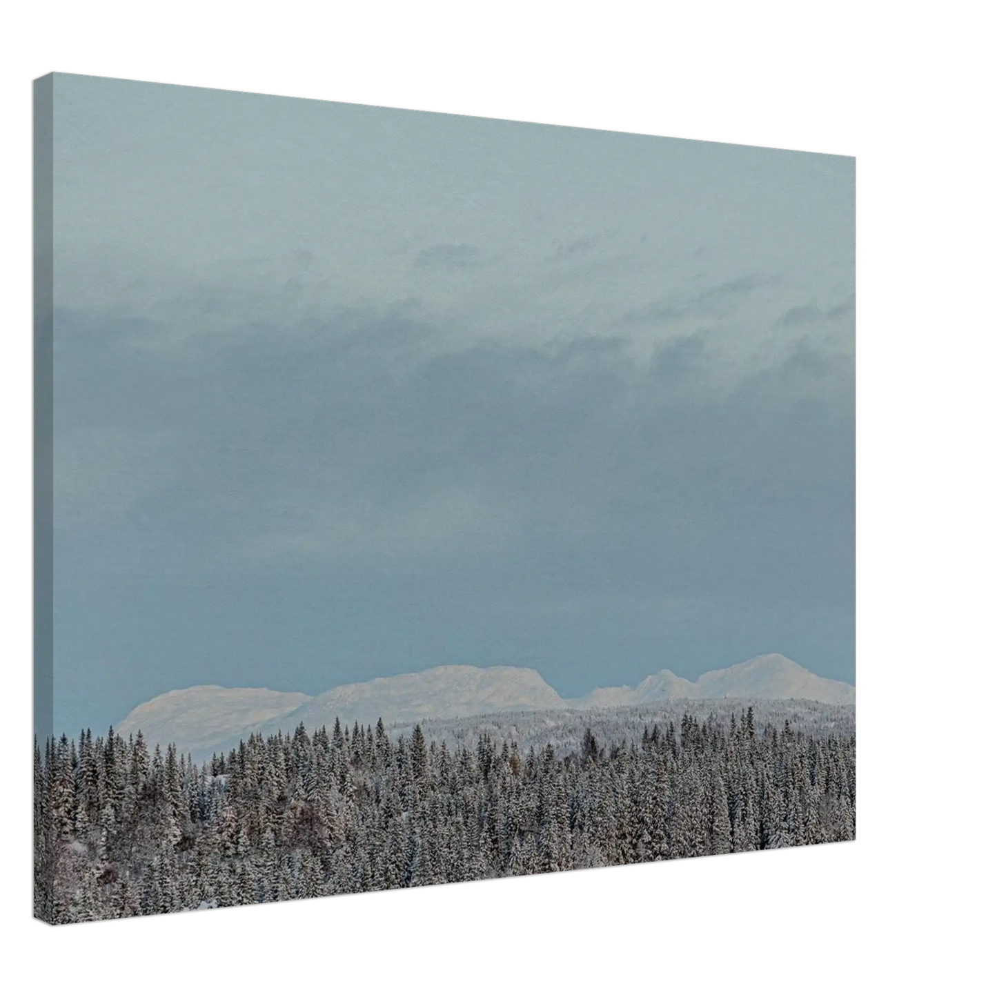 61e6d707-7893-47b0-953c-81d16435521d