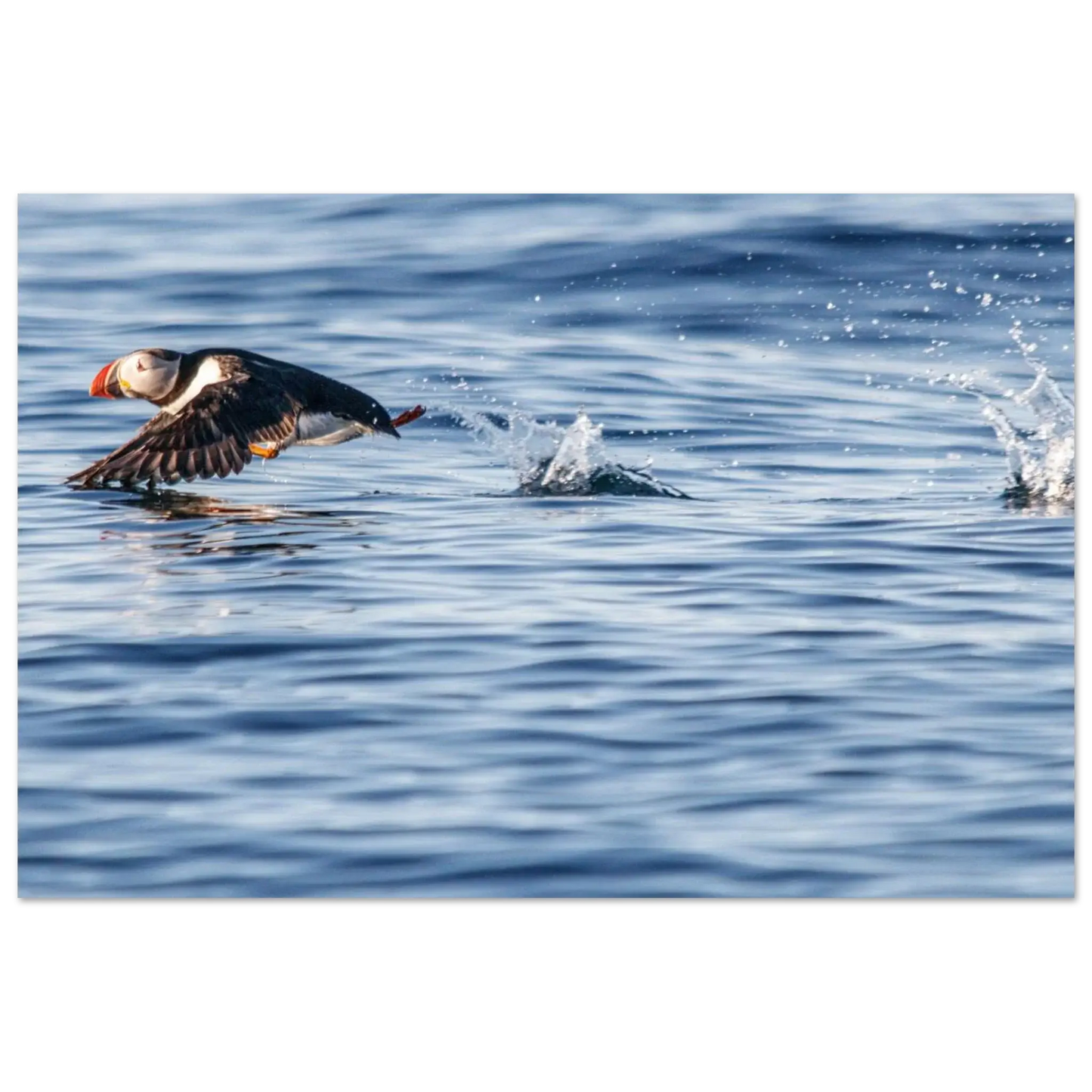 68d64f97-1da5-40b6-86b3-df7a0d4527b4