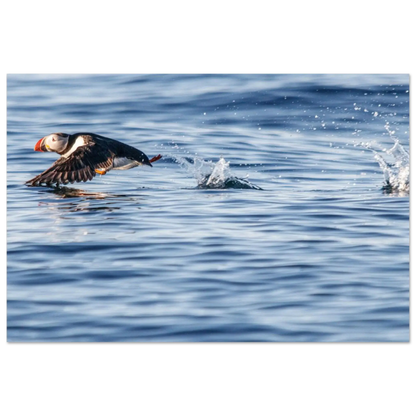 68d64f97-1da5-40b6-86b3-df7a0d4527b4