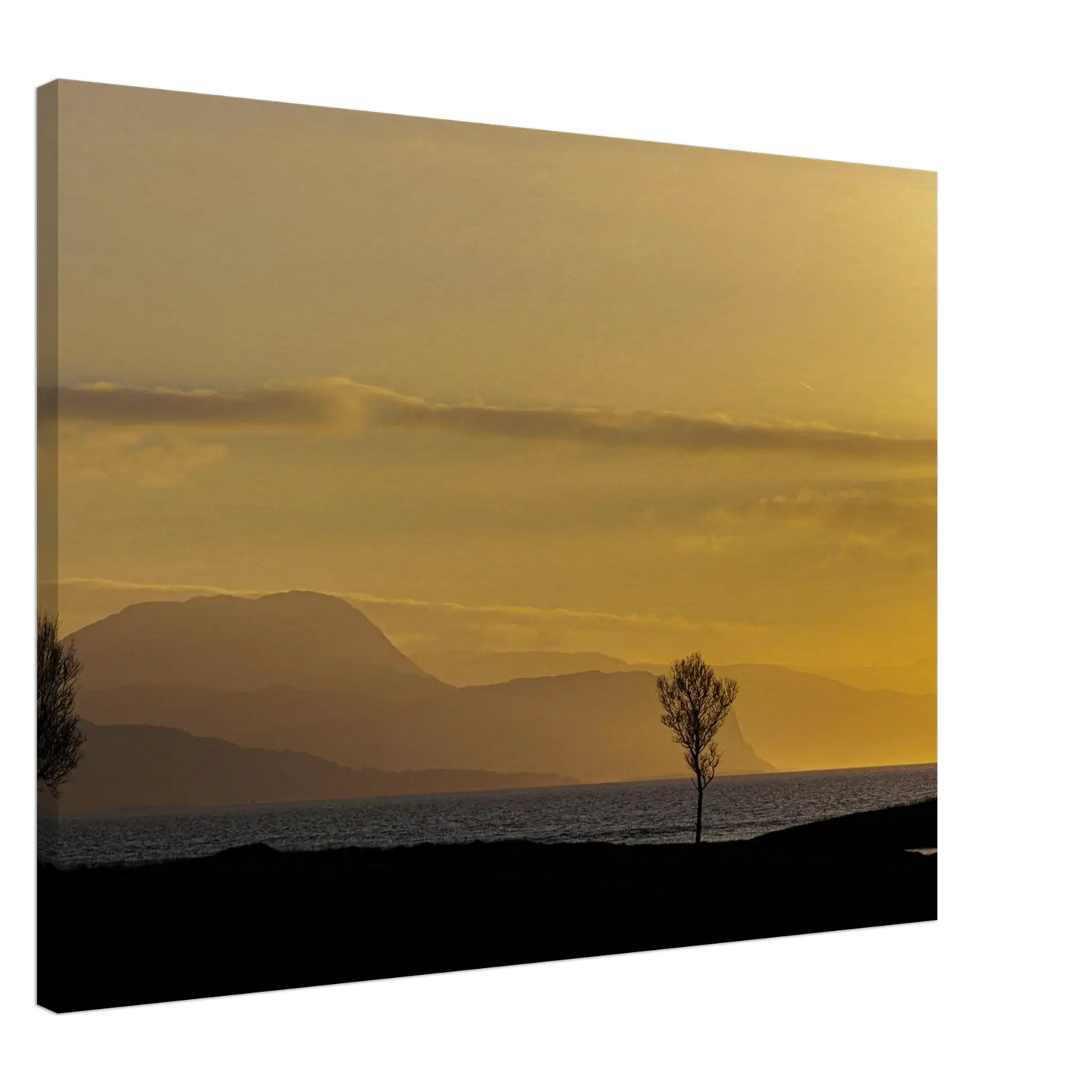 68db7a18-ce75-4f23-ba2f-505052cb3440