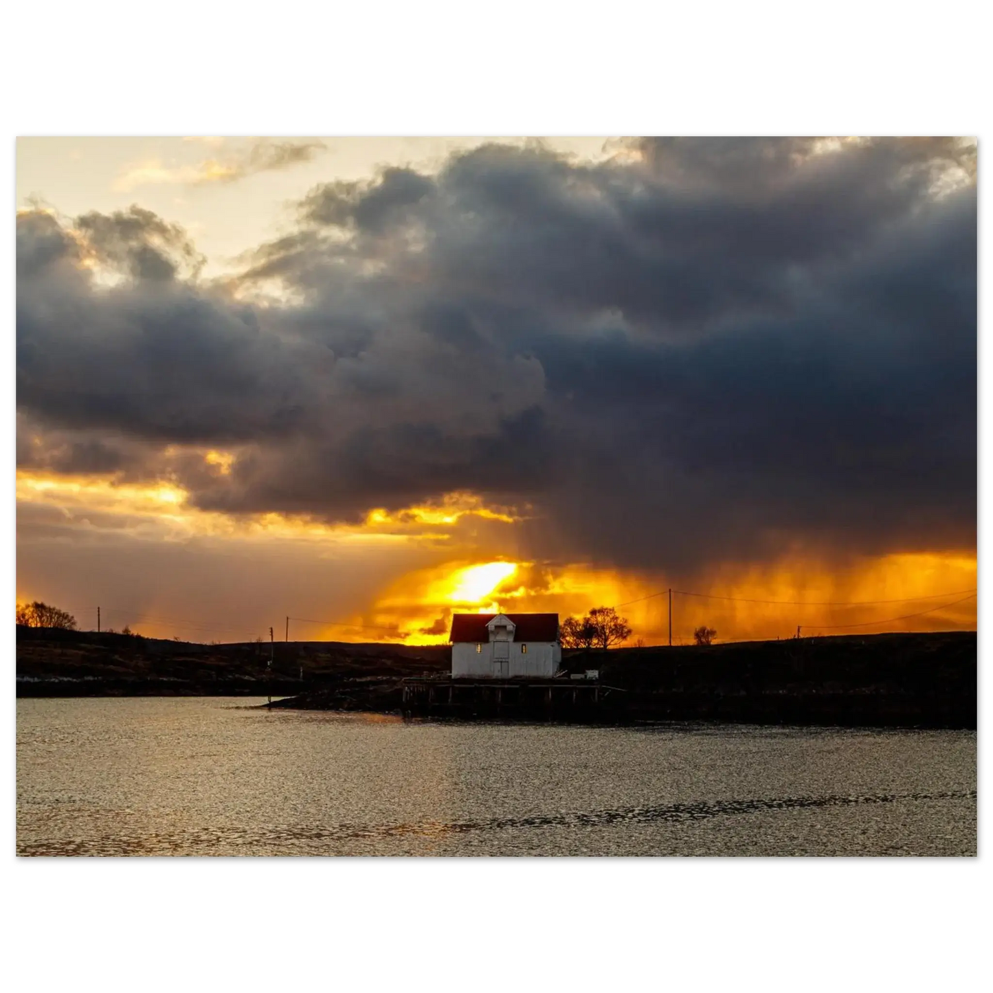 68e74891-6c5e-4cf0-b7a6-61ec430de34c