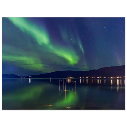 6b506bec-ef06-46f8-aade-fcd328f94081