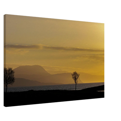 6e152062-d3ad-4a70-bb72-8e0990557881