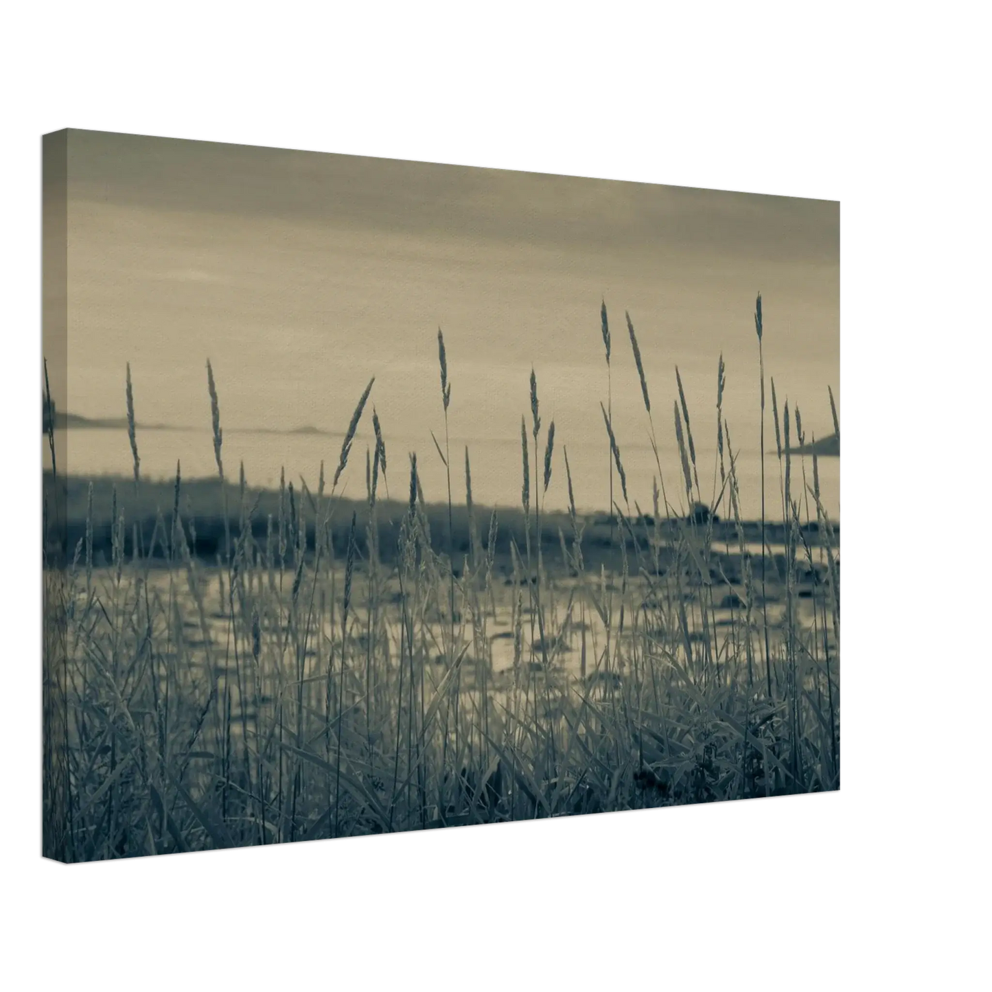 6ec977a7-0604-4cfc-b536-e647dbcf6097