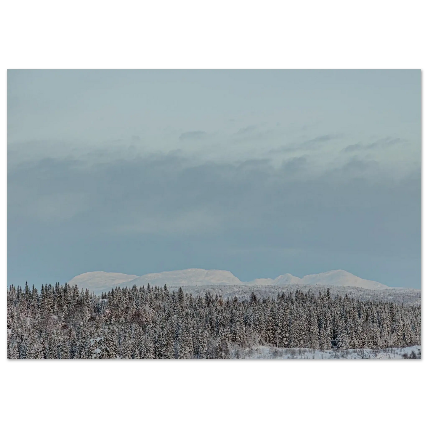 70b1aa2d-bf70-4f0d-a0a5-a72a7f36bd52