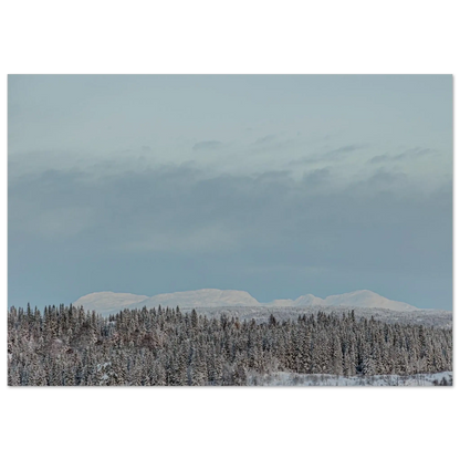 70b1aa2d-bf70-4f0d-a0a5-a72a7f36bd52