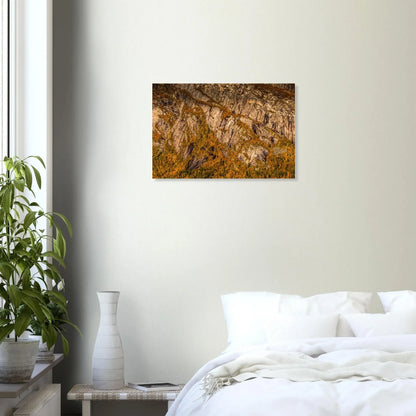 73a5866b-2c26-428e-b758-0c521066e1a7