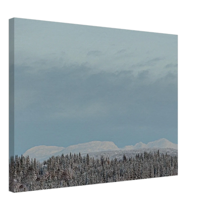 73df8bdf-02e2-4a17-a5da-ff1d4e486043