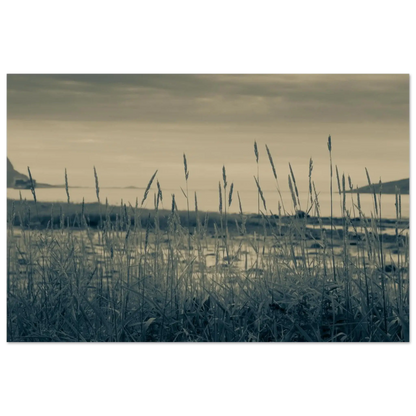 74aa72f6-706a-4bdd-9391-bb28b013fb9a