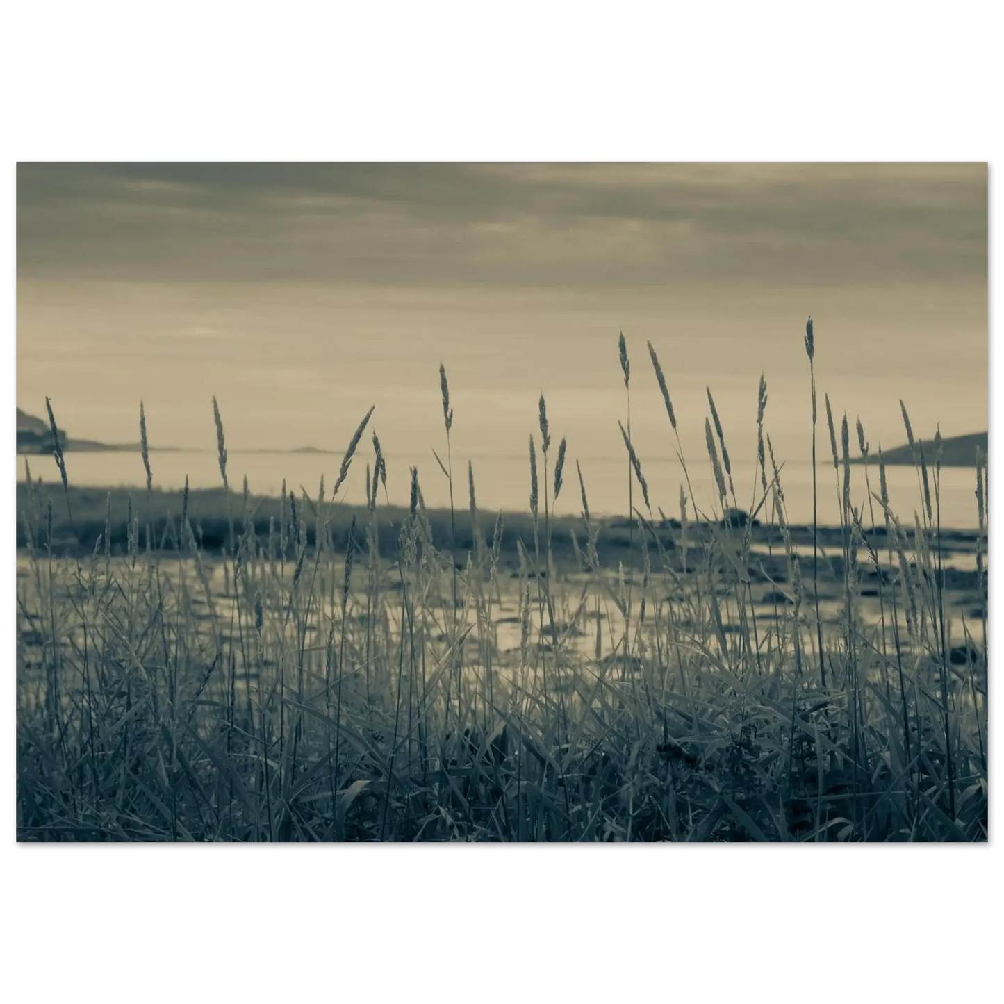 77e47beb-937e-4a96-8ca1-69a6428cf7bb