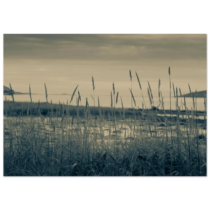 77e47beb-937e-4a96-8ca1-69a6428cf7bb