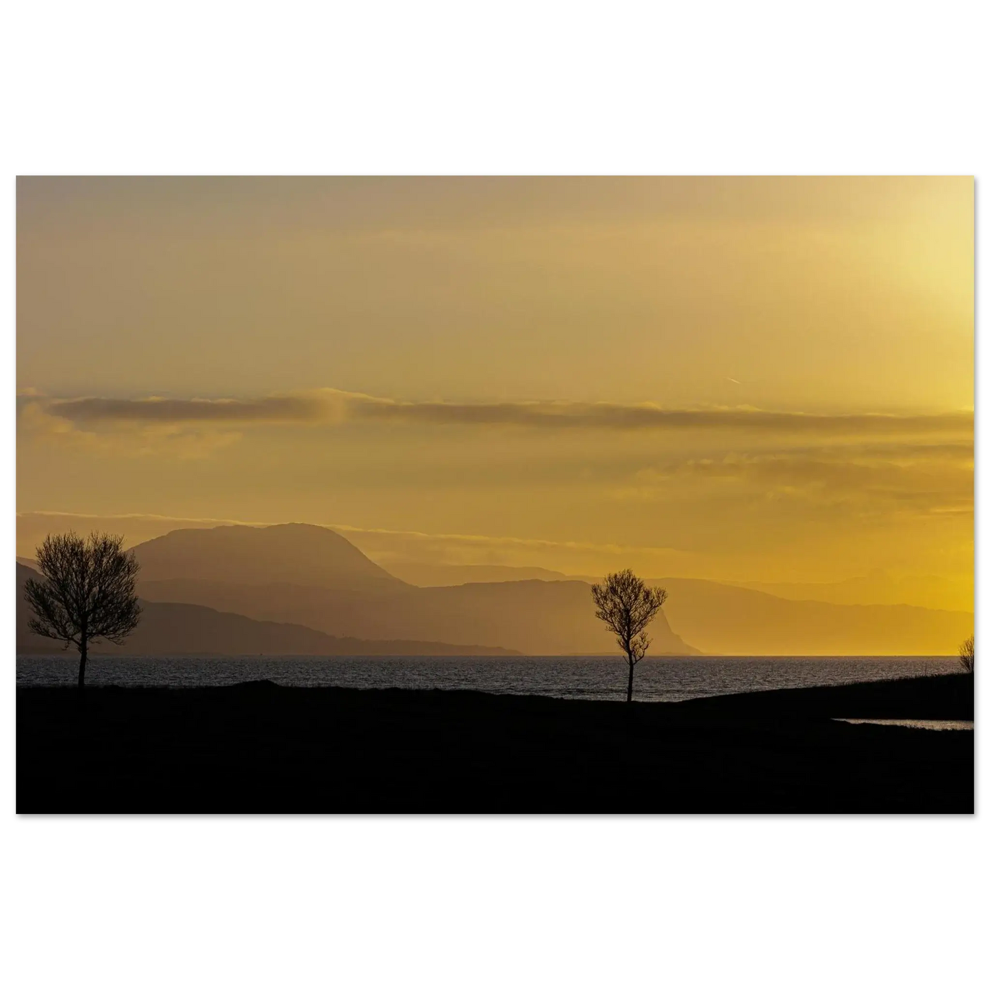 77ed1bb5-6814-457a-a818-278b53f1f815