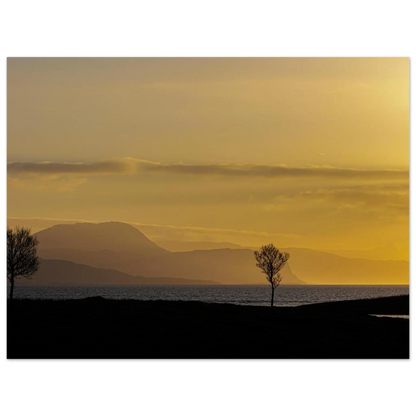 797e7e75-f7f2-4004-a4ba-d2c7f342788d