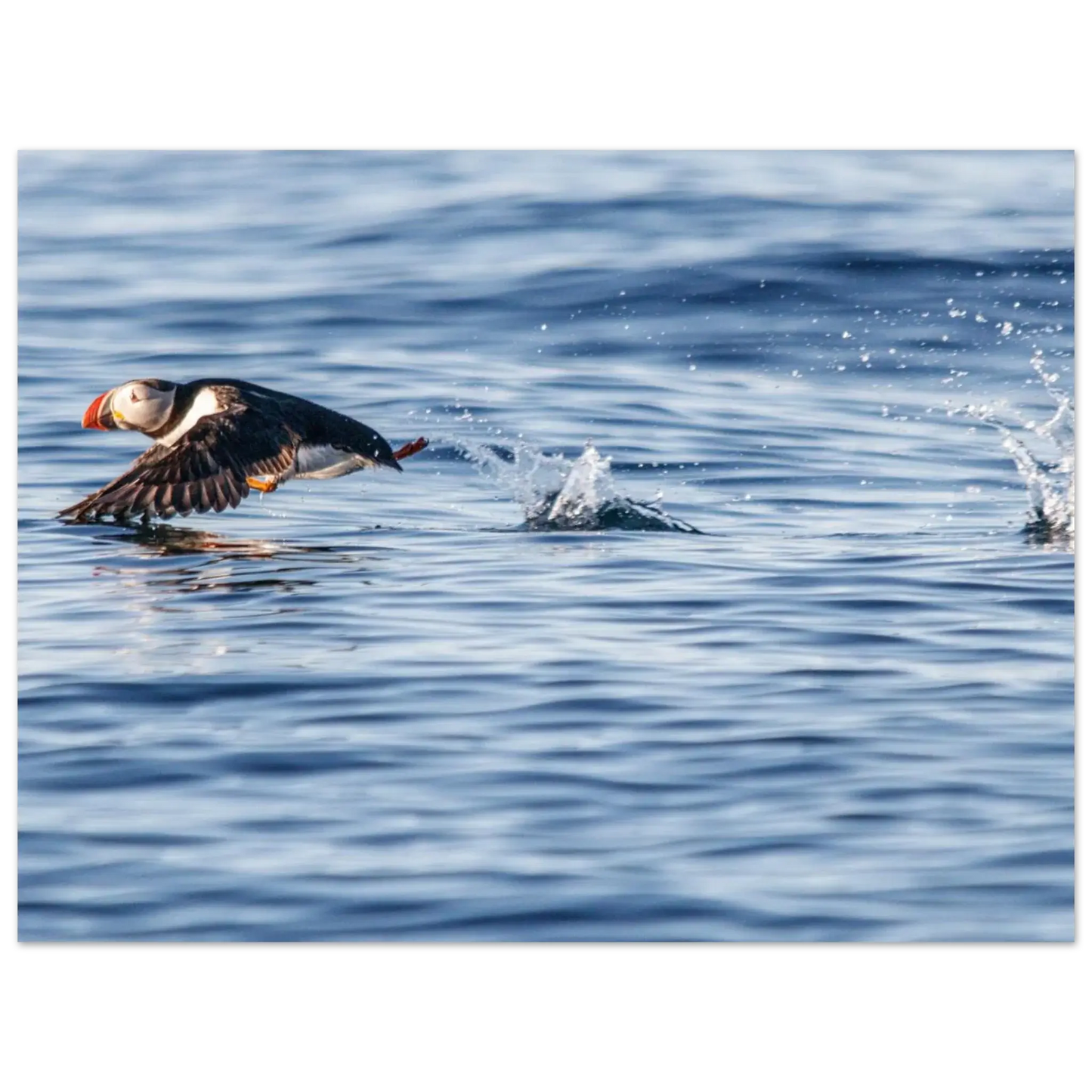 7ab84ec3-0d53-4777-84d1-305fc6e83f19