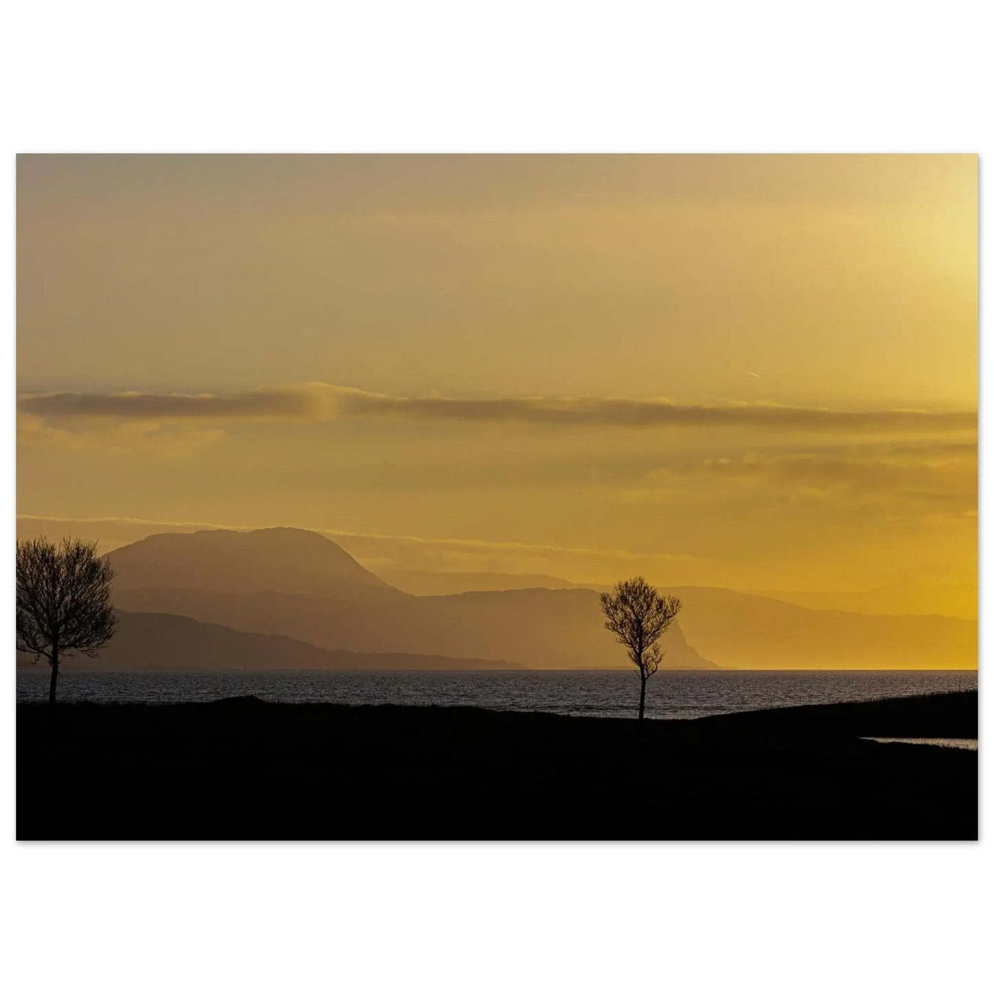 7b2802d8-d655-4e10-8258-17ef66c5f415