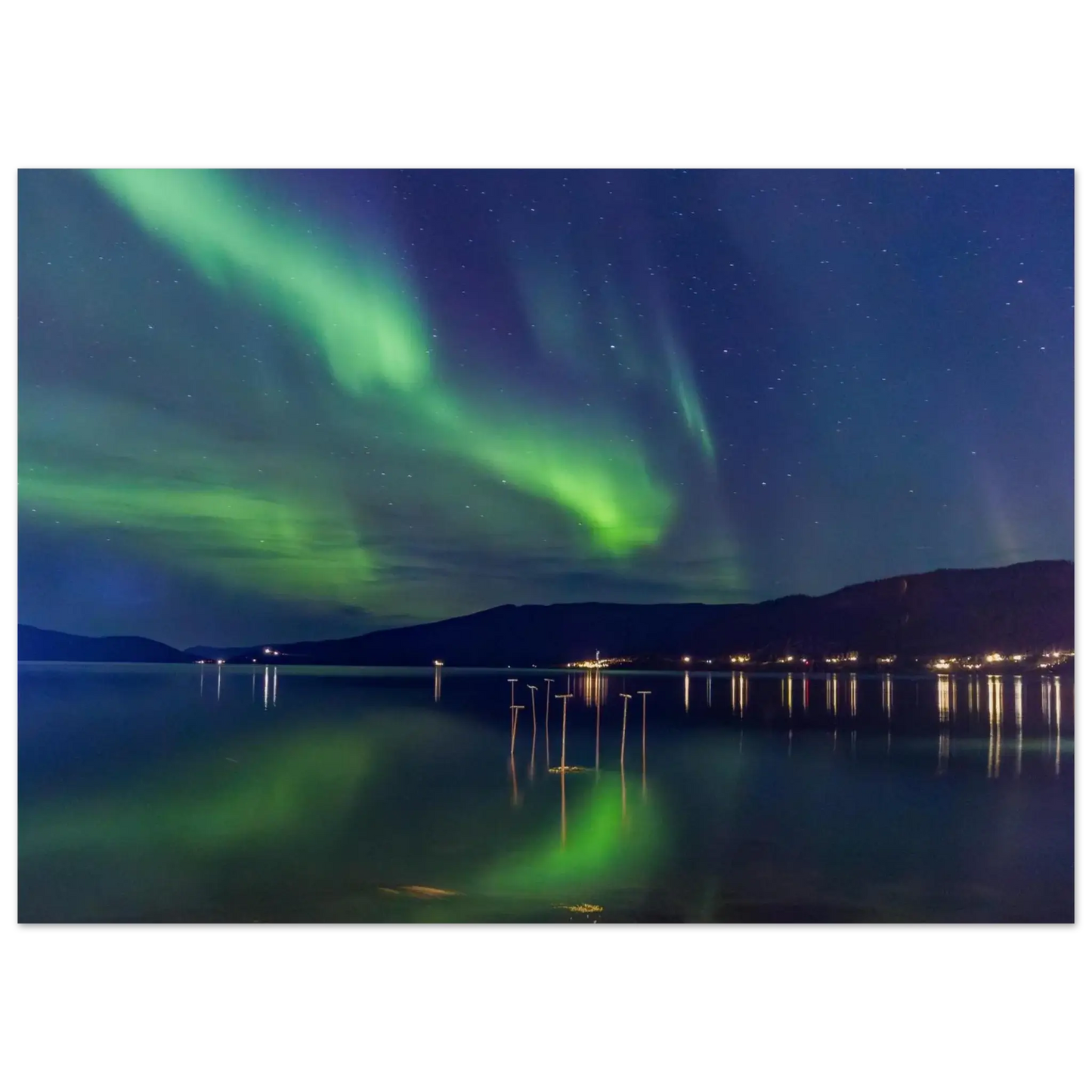 7bd99dcb-9823-4336-b18f-7dbc33389248