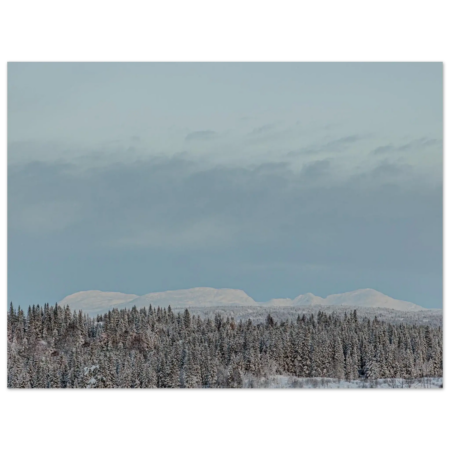 7d925805-6274-4406-a1f9-54d85414b7f2