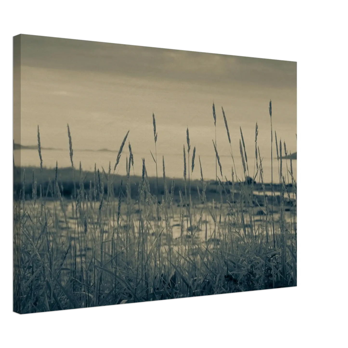 7da21039-a5e4-47ab-a7f3-93176b1b58aa