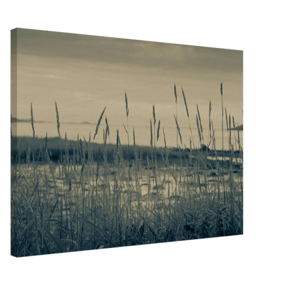 7da21039-a5e4-47ab-a7f3-93176b1b58aa