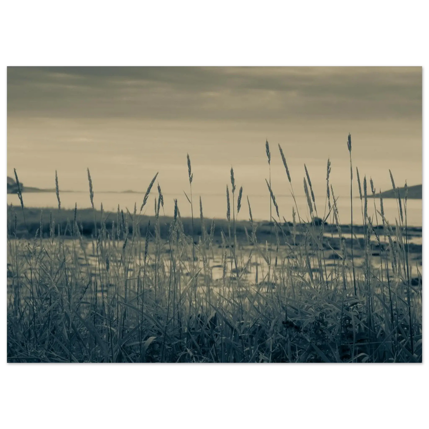 7fb9156d-180e-4fab-9be7-a98e0f638bb8