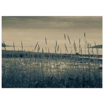 7fb9156d-180e-4fab-9be7-a98e0f638bb8