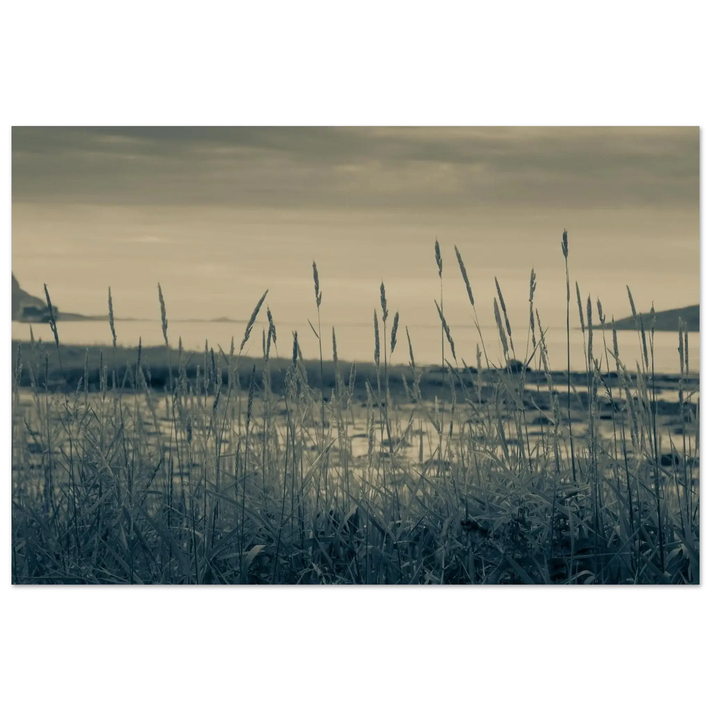 80dfa447-0ac4-4581-90f7-08fad701adfe