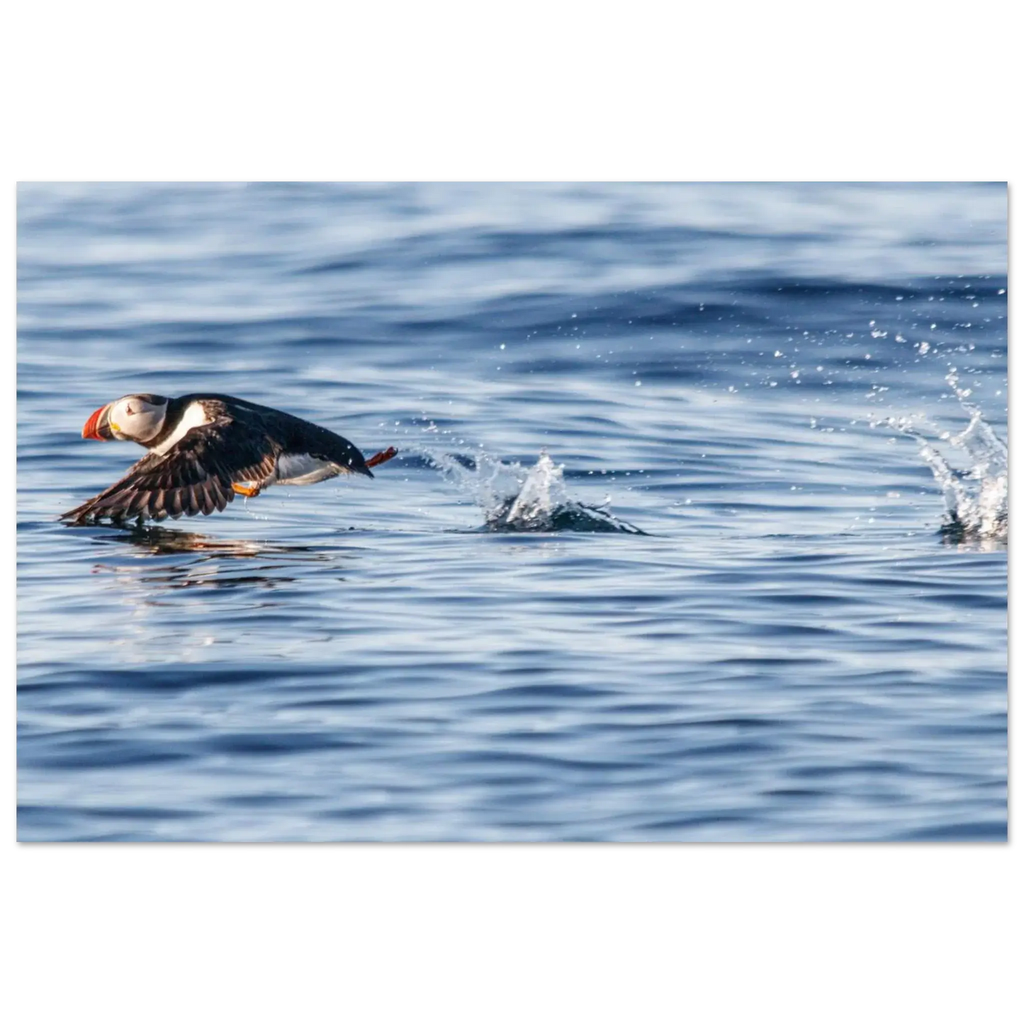 81c4520c-414a-4818-9df6-85204846b799