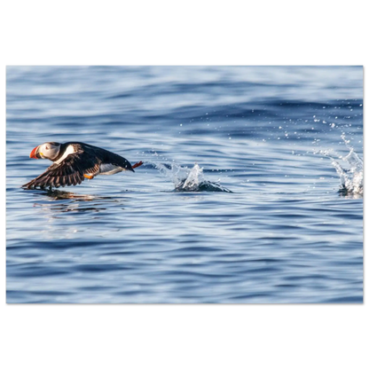 81c4520c-414a-4818-9df6-85204846b799